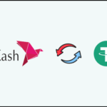 Bkash To USDT
